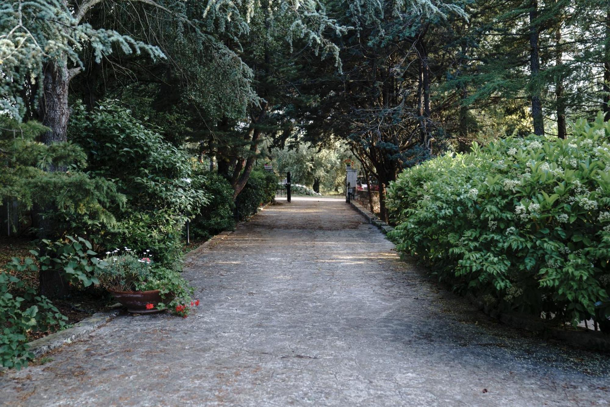 Villa Dan-Rooms In Monopoli 임팔라타 외부 사진